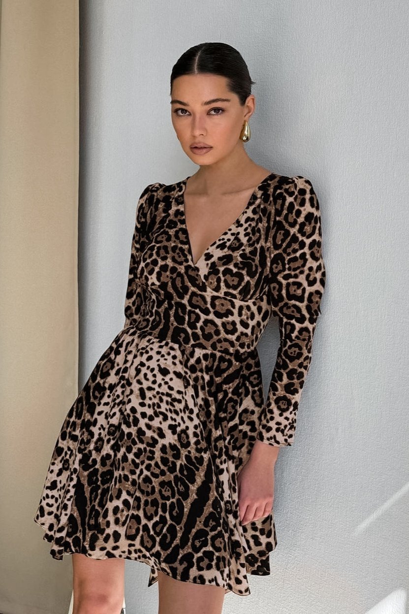 Sexy Leopard Print Long Sleeve V-Neck Mini Dress